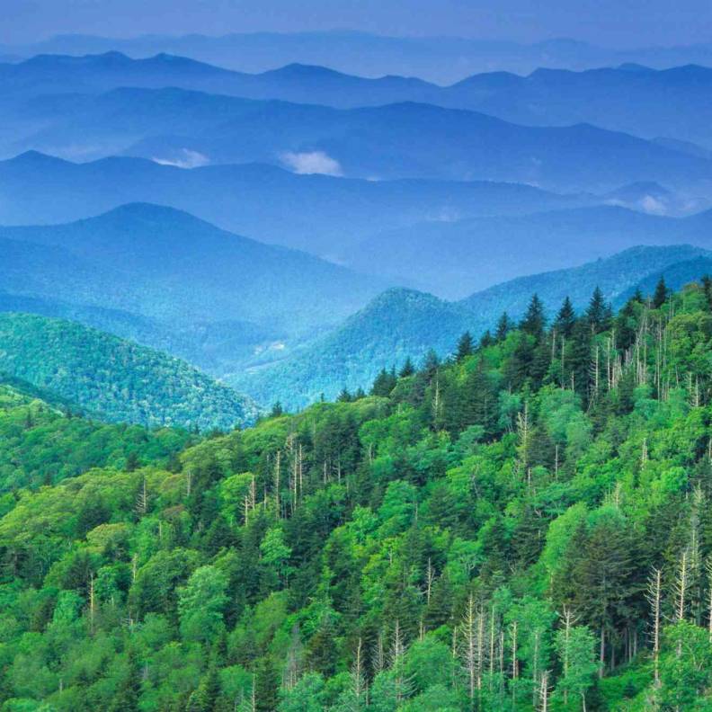 Ο λαός σώζει τα Δάση και τα βουνά